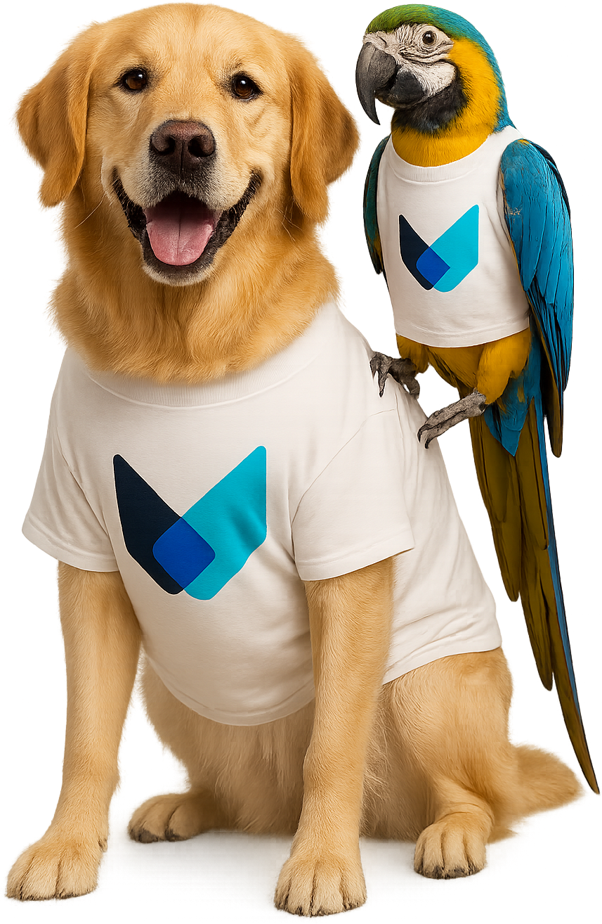 Golden retriever com a camiseta do hospital e uma arara